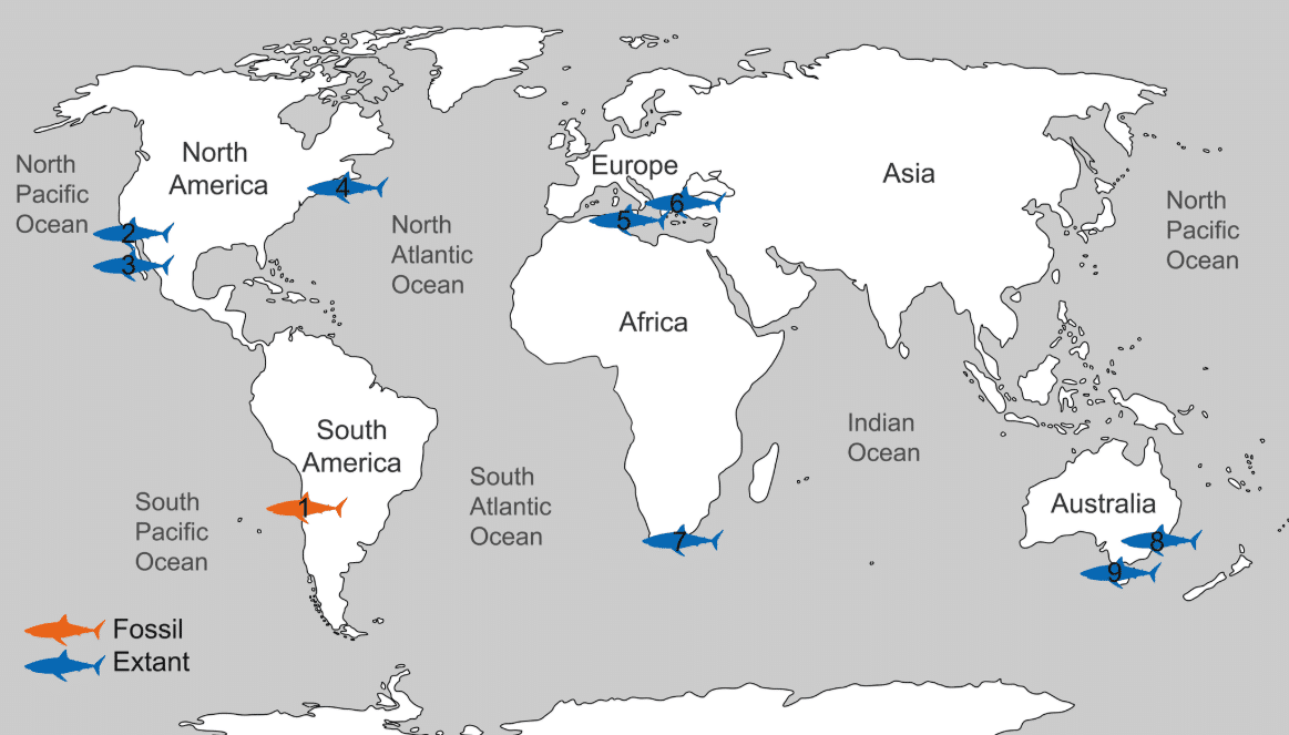Em1Map