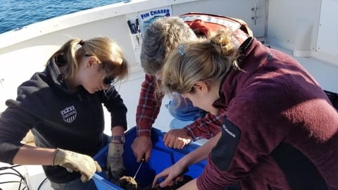 EM3 Ellie Caroline Dave Secor on research boat