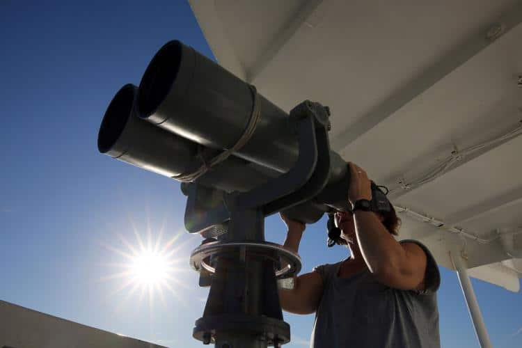 person binoculars vaquita