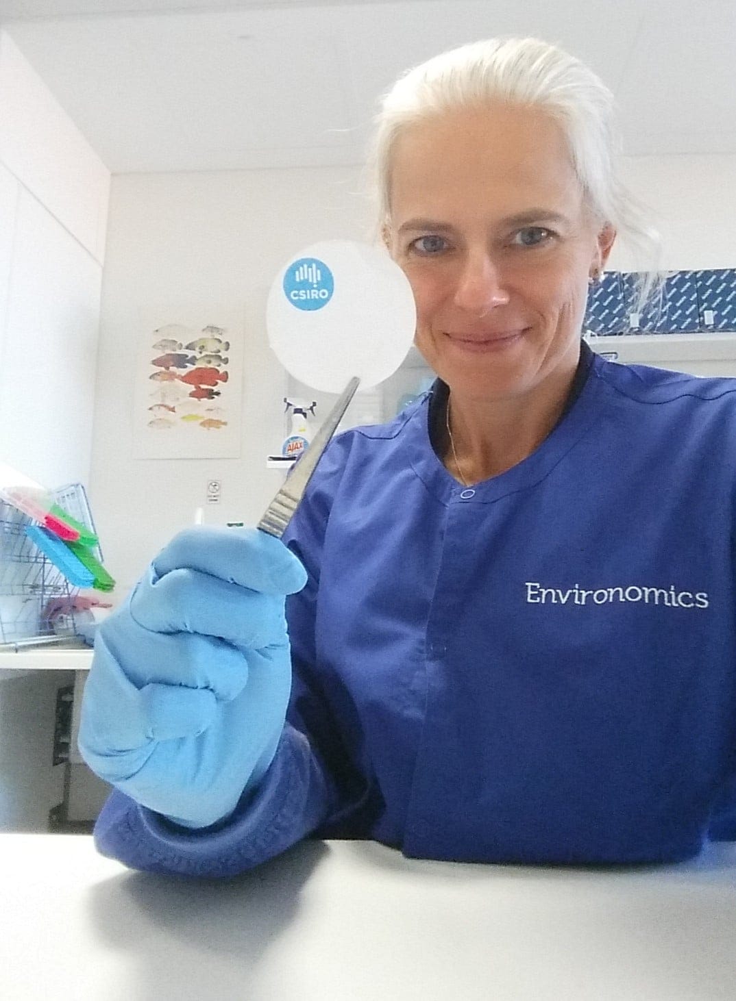 em1 DrCindyBessey extracting eDNA from filter paper