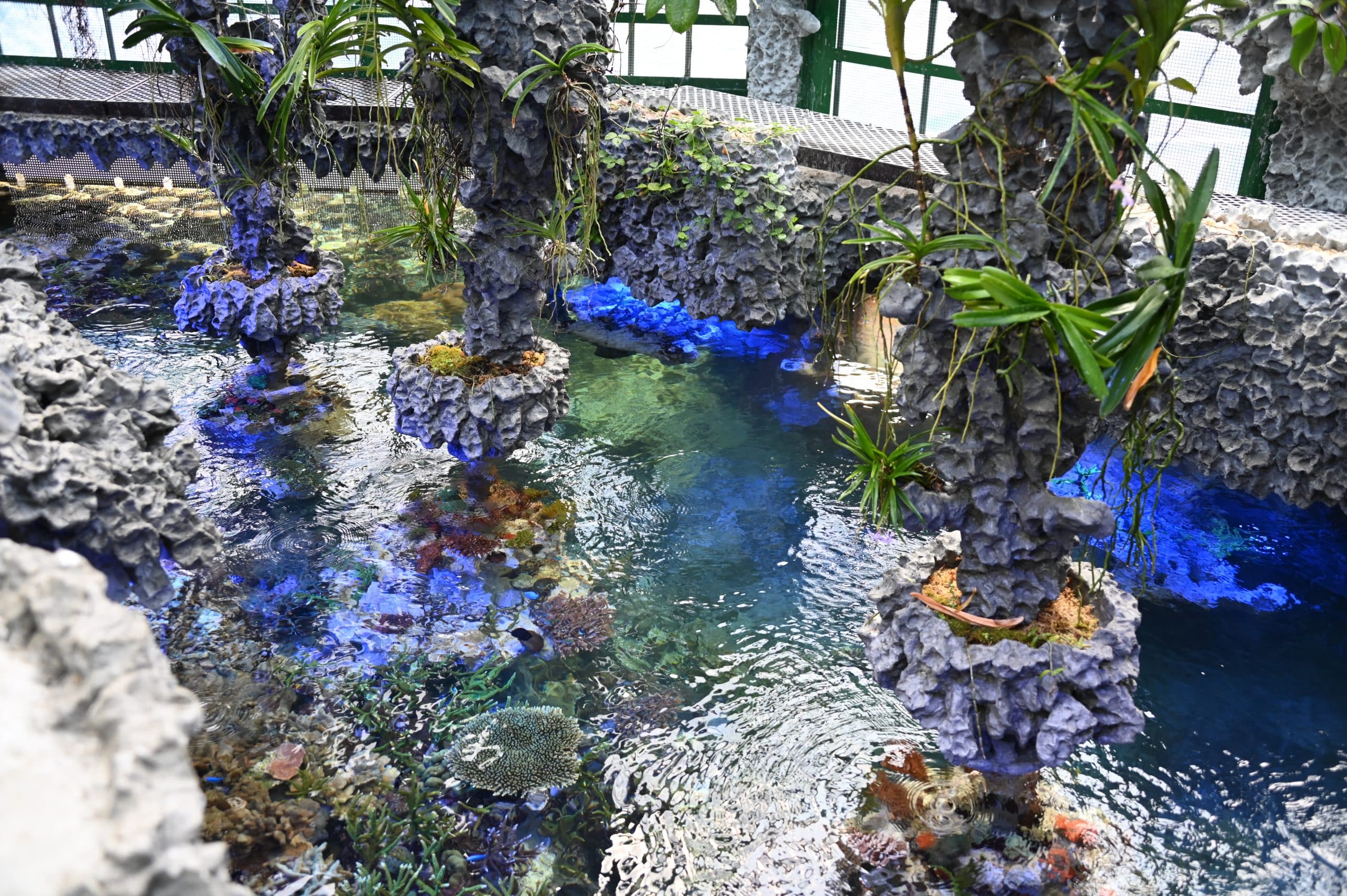 em2 202102 Aquarium 1