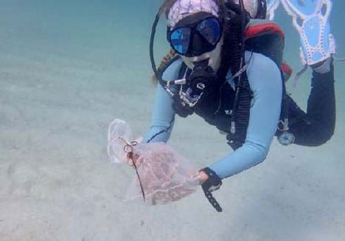 Image 2 ecofeature coral