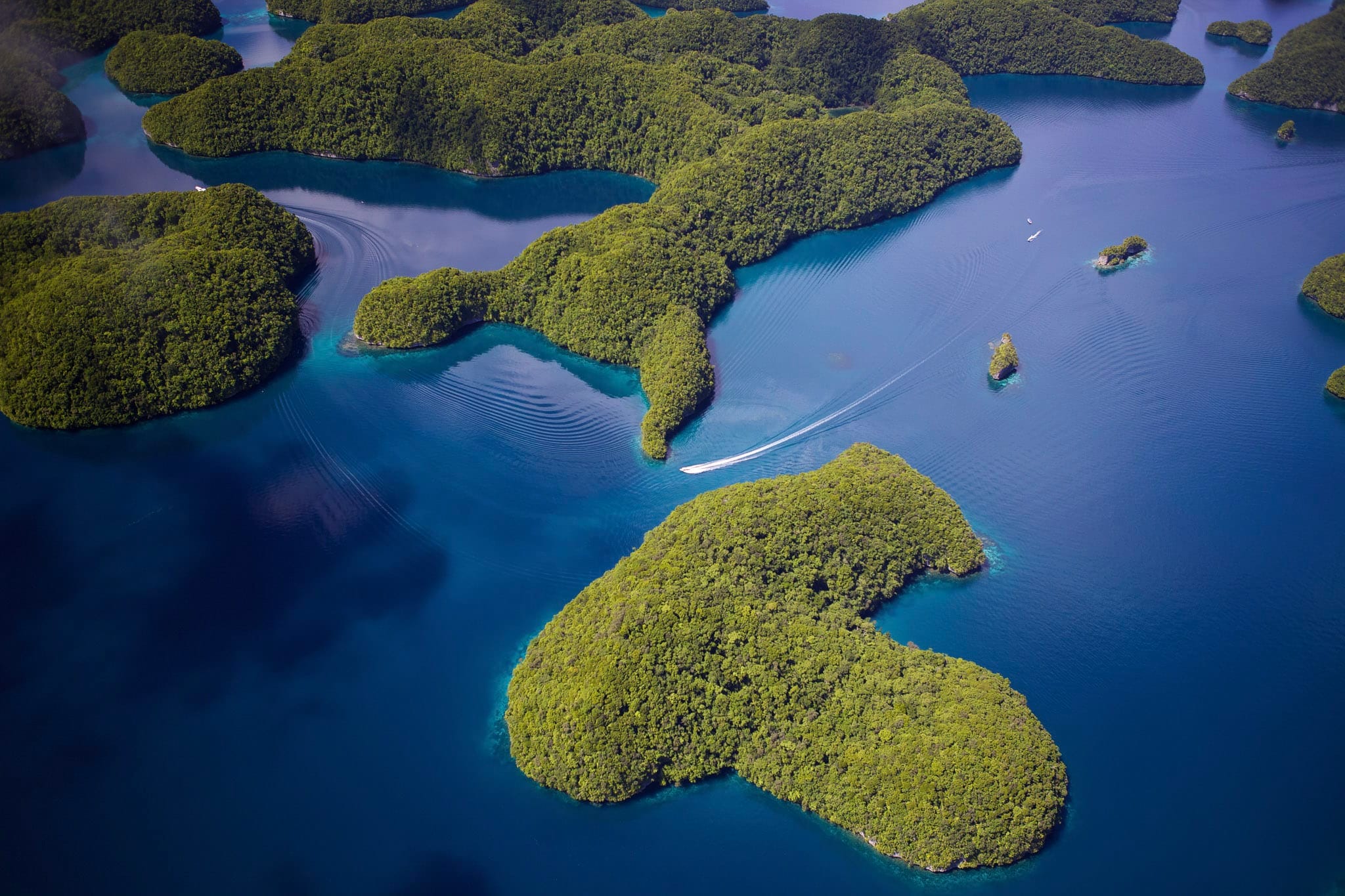 The Global Reef Expedition provided the data needed to model and map coral reef health and resiliency across the South Pacific.