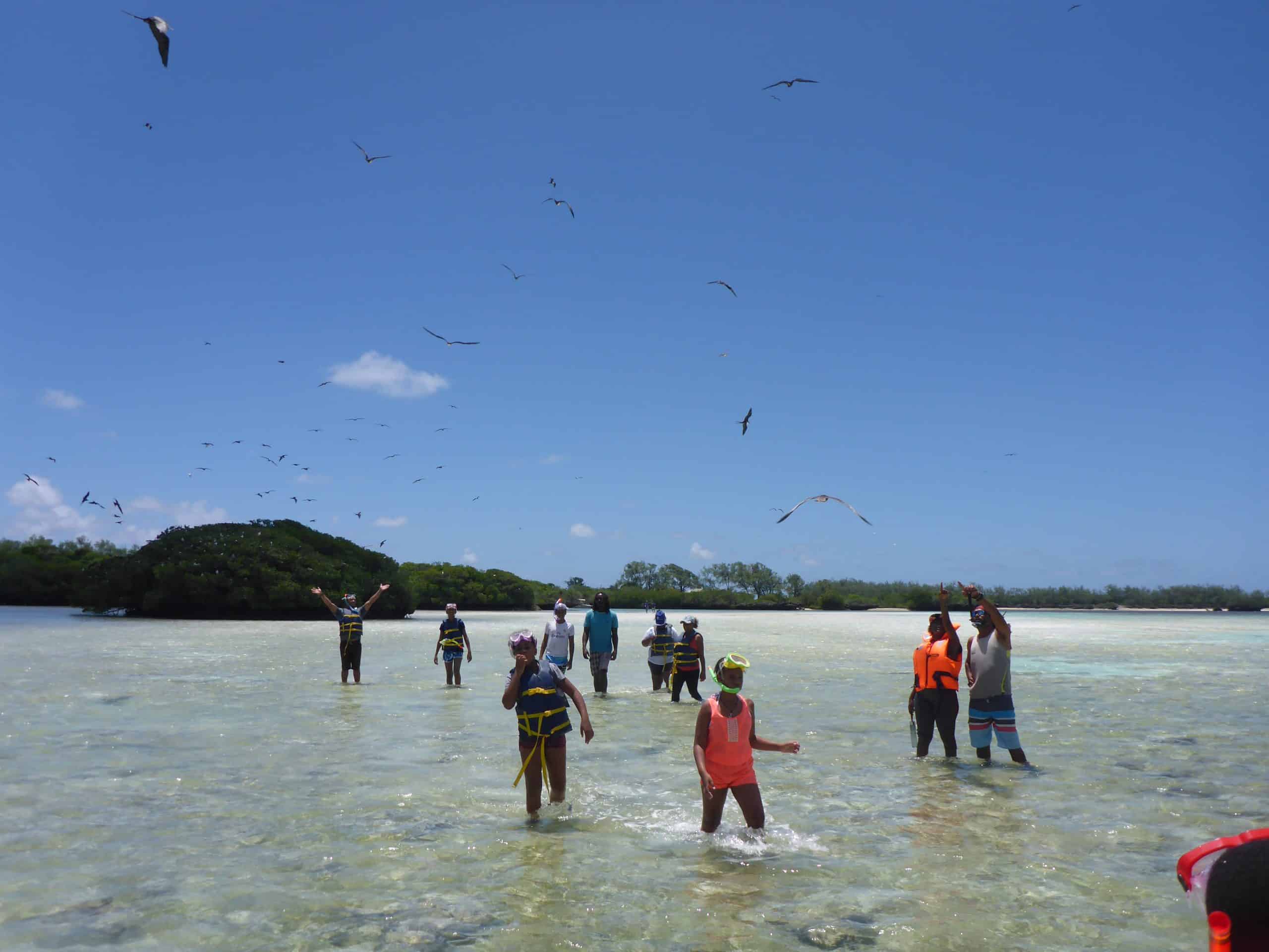 Please credit as Seychelles Islands Foundation