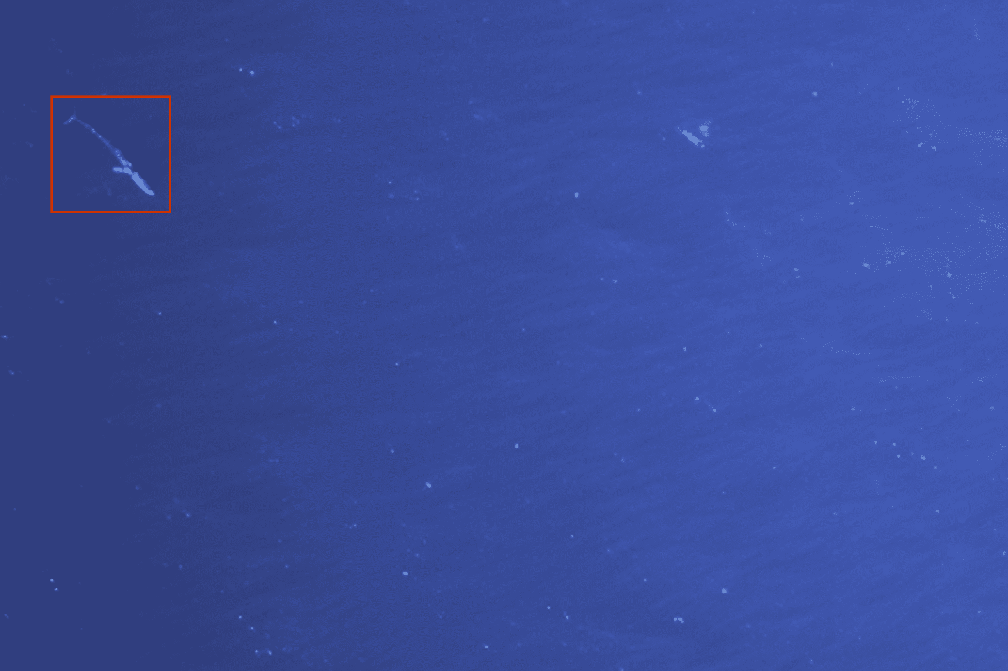 SpaceWhale 2