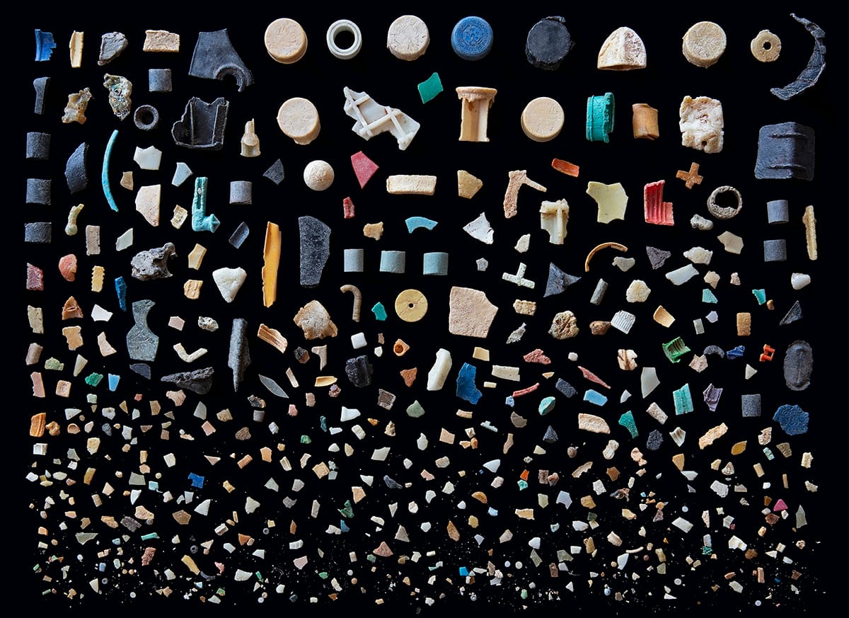 276 Pieces of plastic recovered from the stomach of ONE 90 day old Albatross chick from the Island of Midway 2012. Photograph Mandy Barker