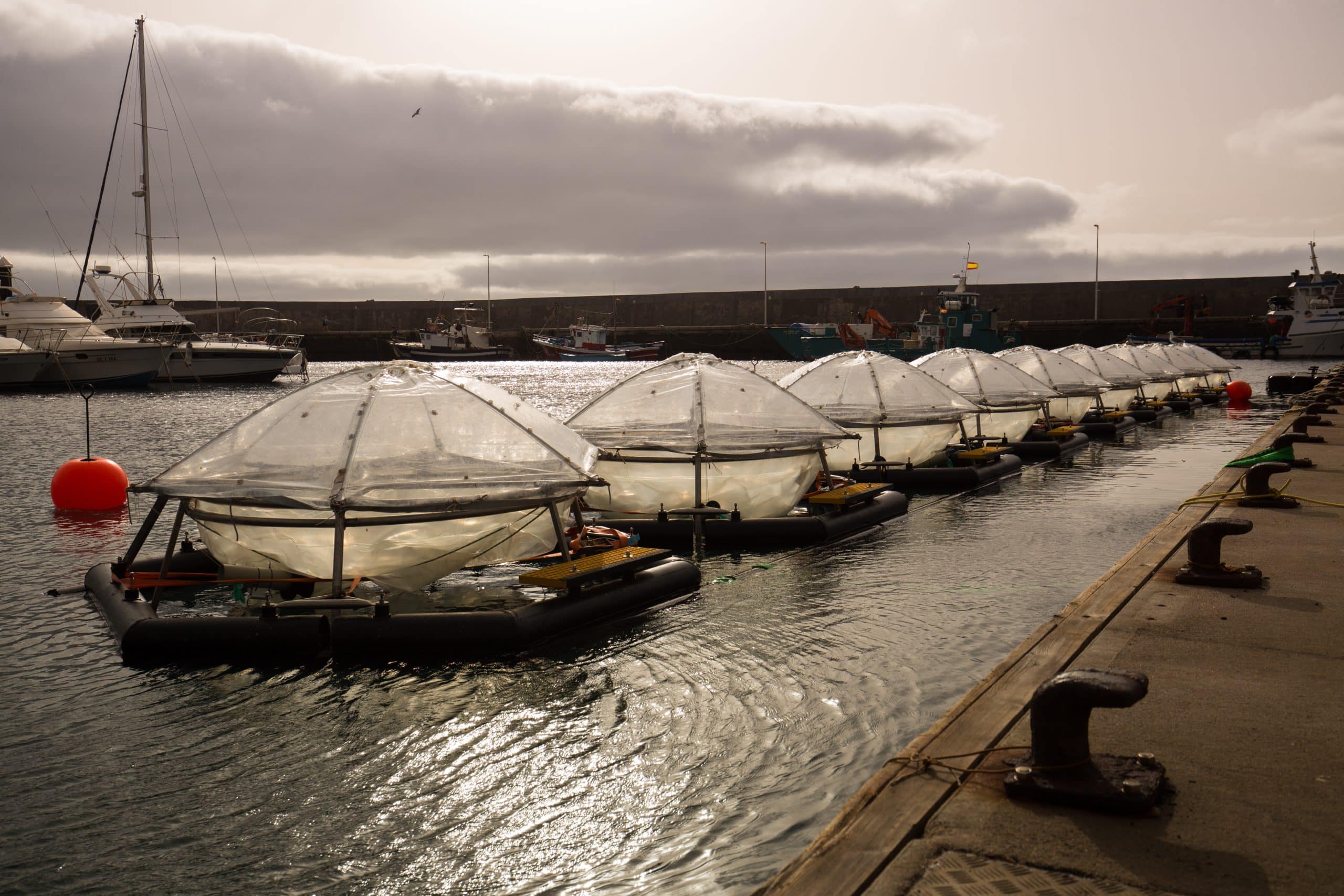 OceanNets 1517 MichaelSswat GEOMAR 3 2