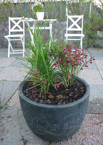 2 NKT recycled flowerpot