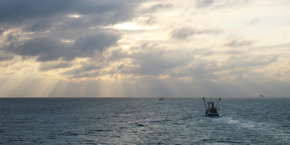 EM1 1200x600