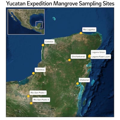 EM3siocomm A MangroveSites 2021 20180709