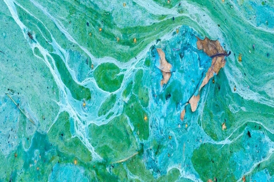 s960 Diffuse Coastal Pollution Ocean v2