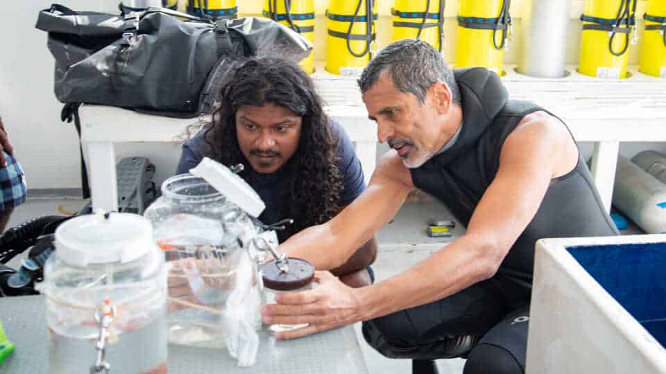 EM2 hfr 1800x1201 maldives 2022 ahmed luiz specimen 220225