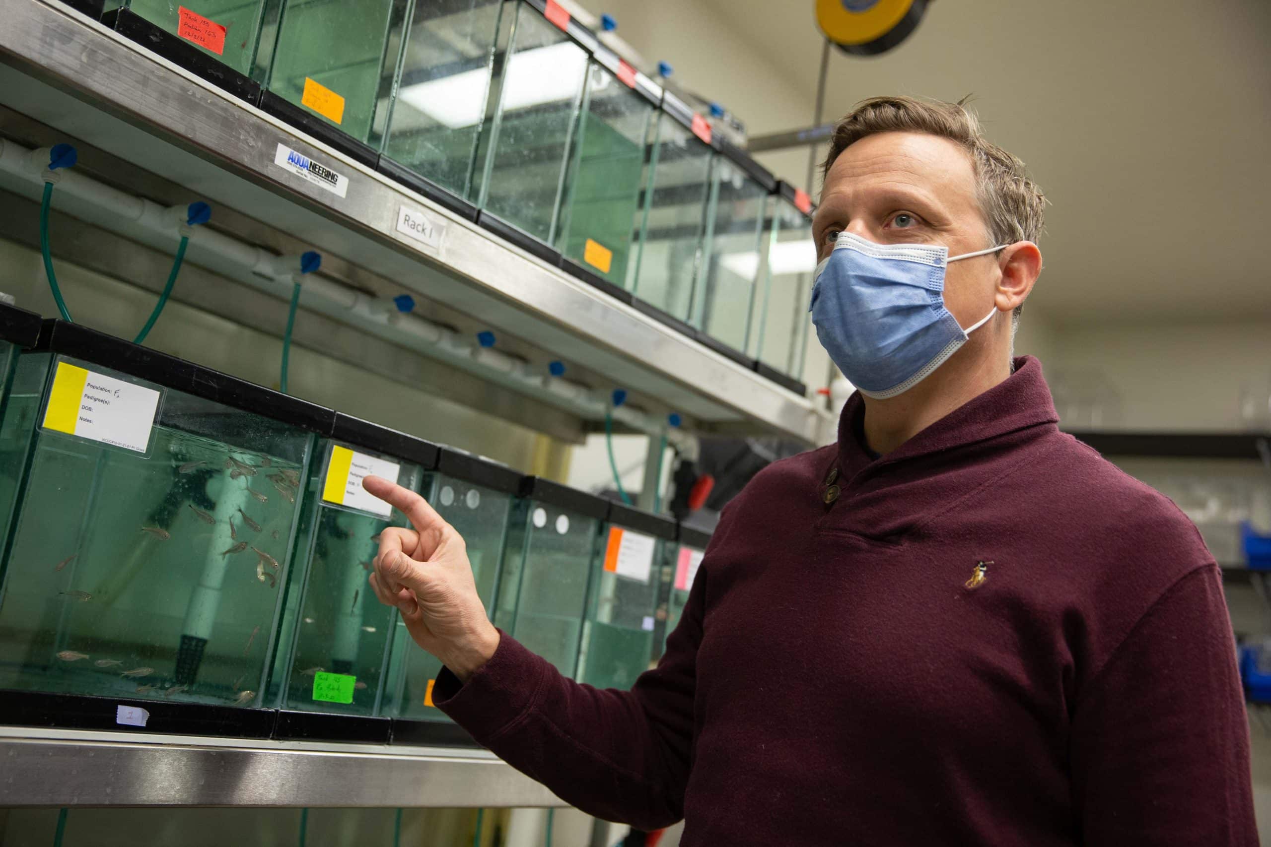 UC student Tyler Boggs and UC associate professor Joshua Gross, shown here in their lab, have new studies coming out on Mexican blind cave fish.