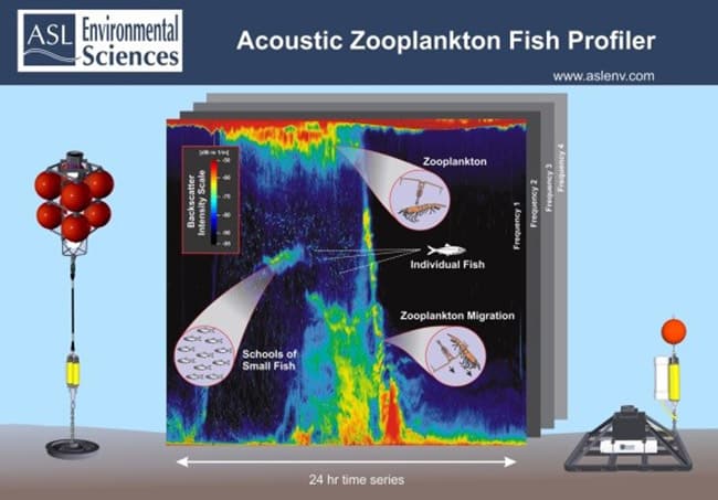 1 AZFP Diagram Award 4