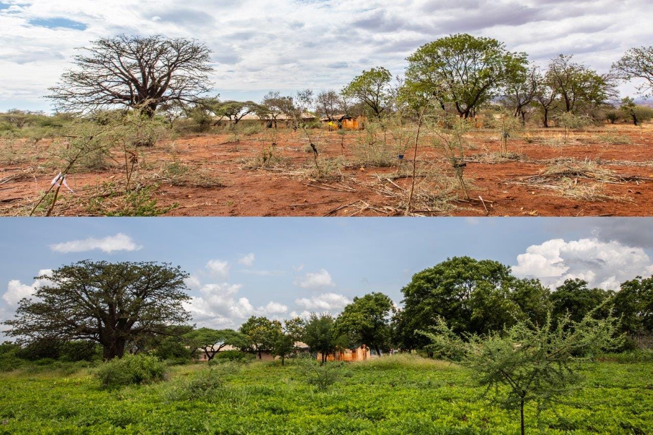 2 KISIKI HAI Before After Mnyakongo Tanzania november 2019 1