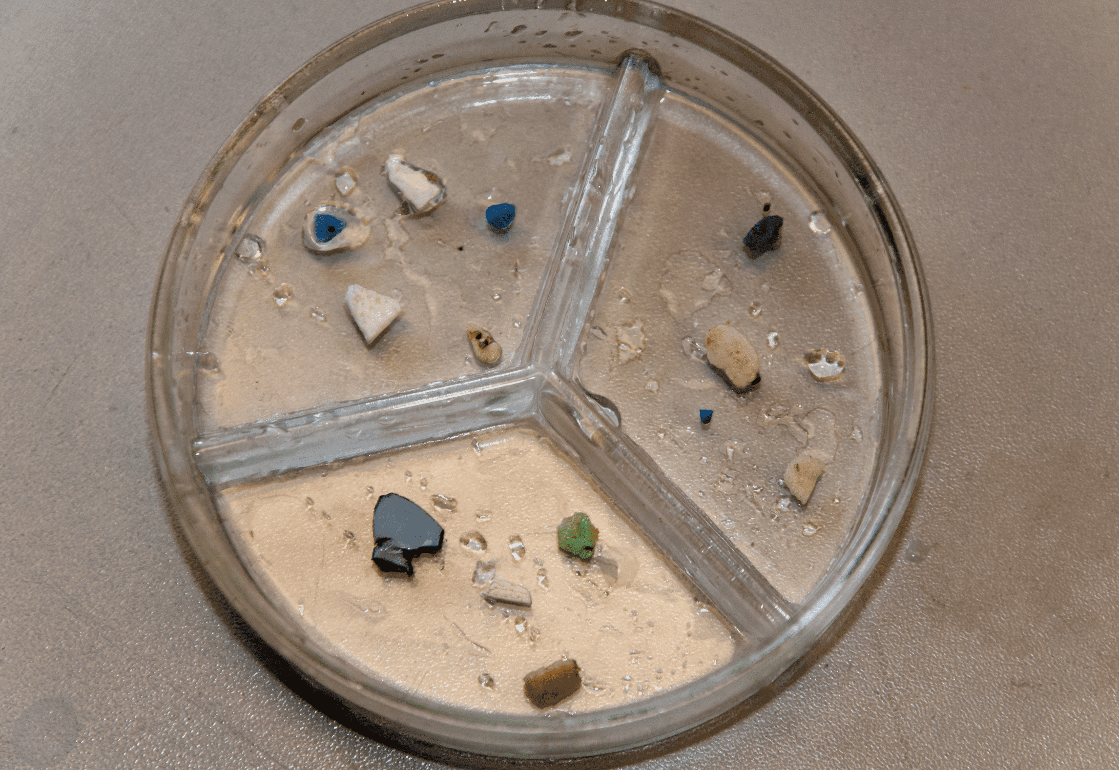 2 Micro plastic