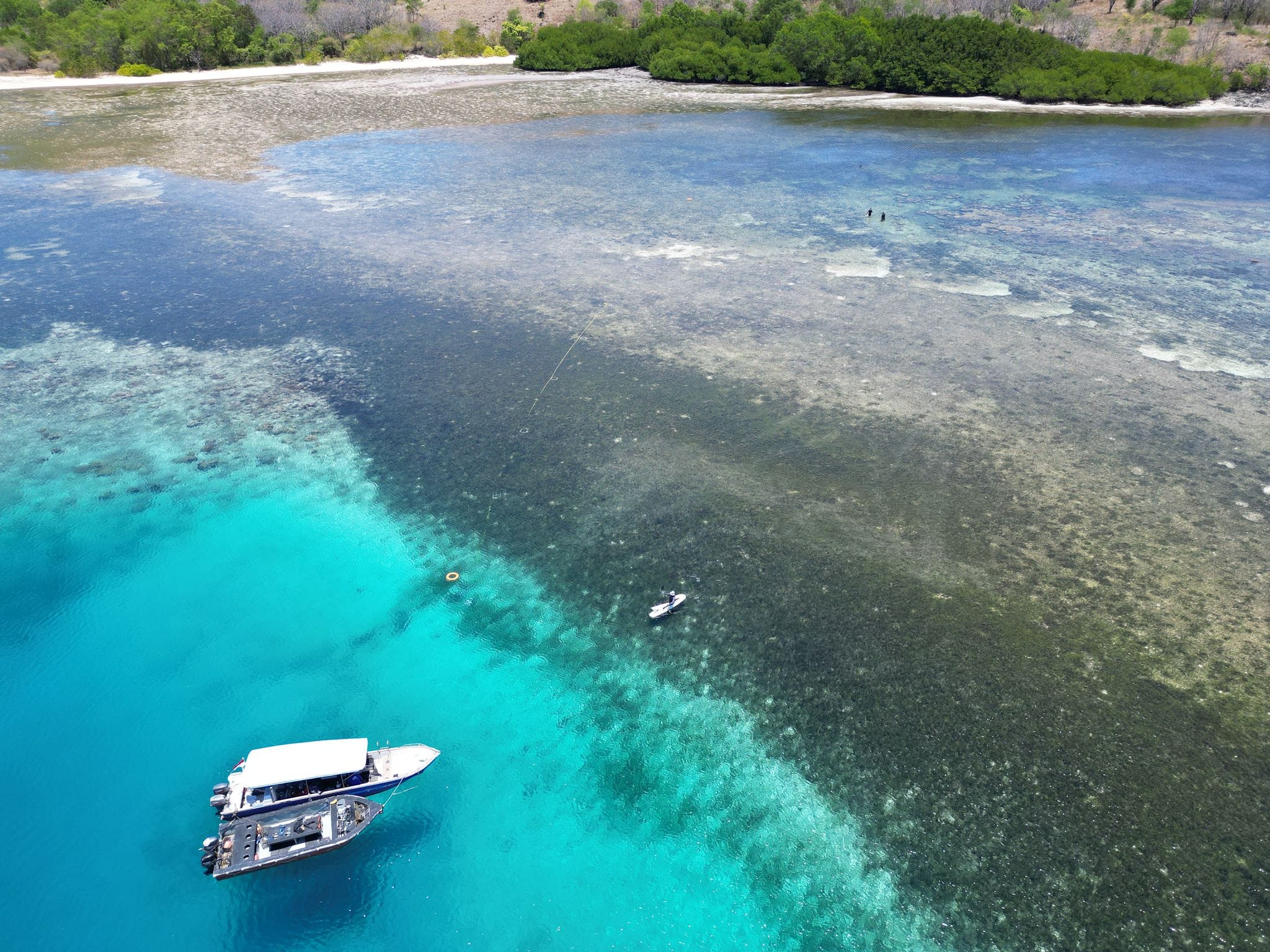 2 Placement of a 100 meter transect across a gradient of seagrass habitat 1