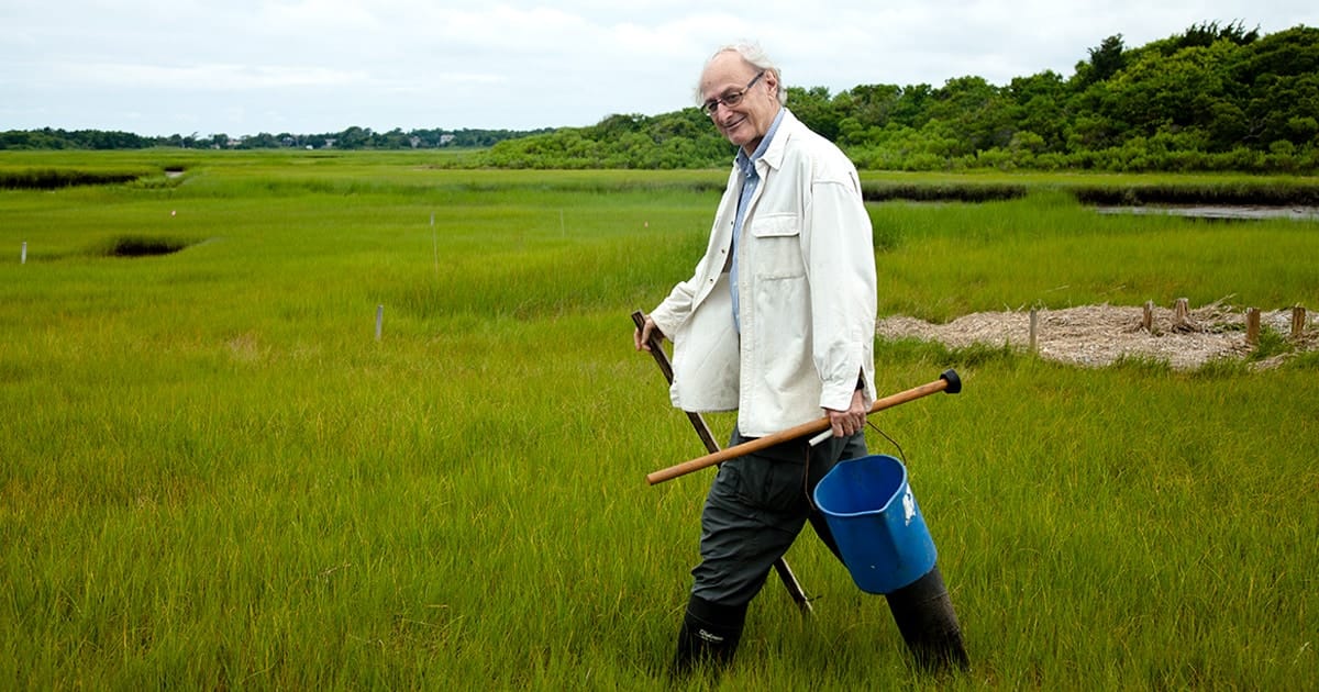Saltmarsh3