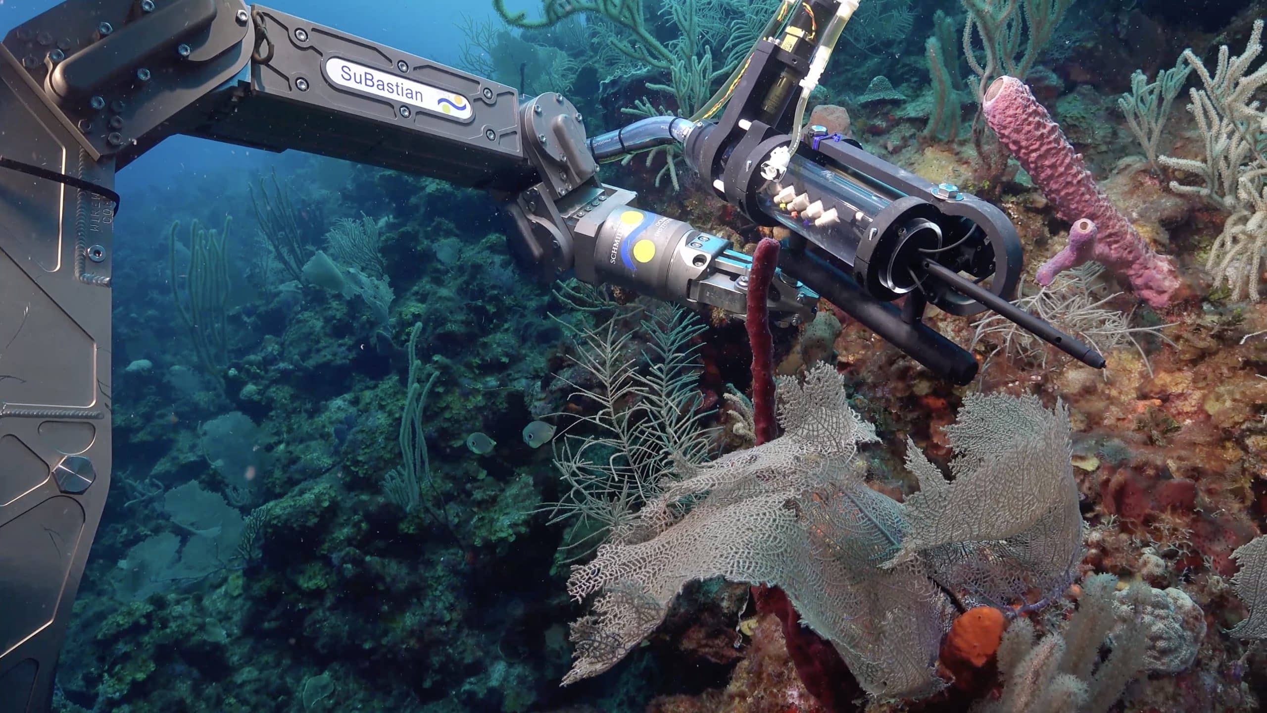 FKt230417 Dive511 20230423T153253Z Reef Solaris