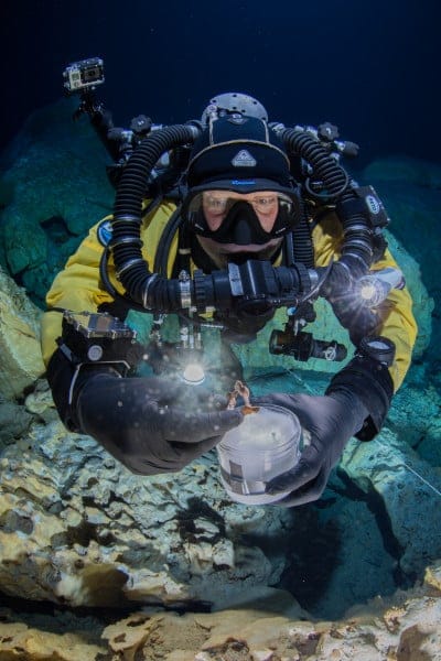 Image2 hoyonegro diver 1