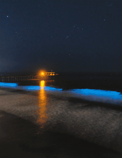 Image2 redtide scripps cover philipp arndt
