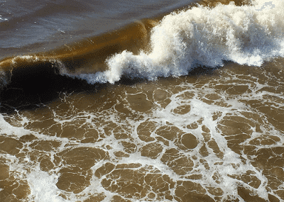 Image3 cheng lanna 2020 04 23 red tide