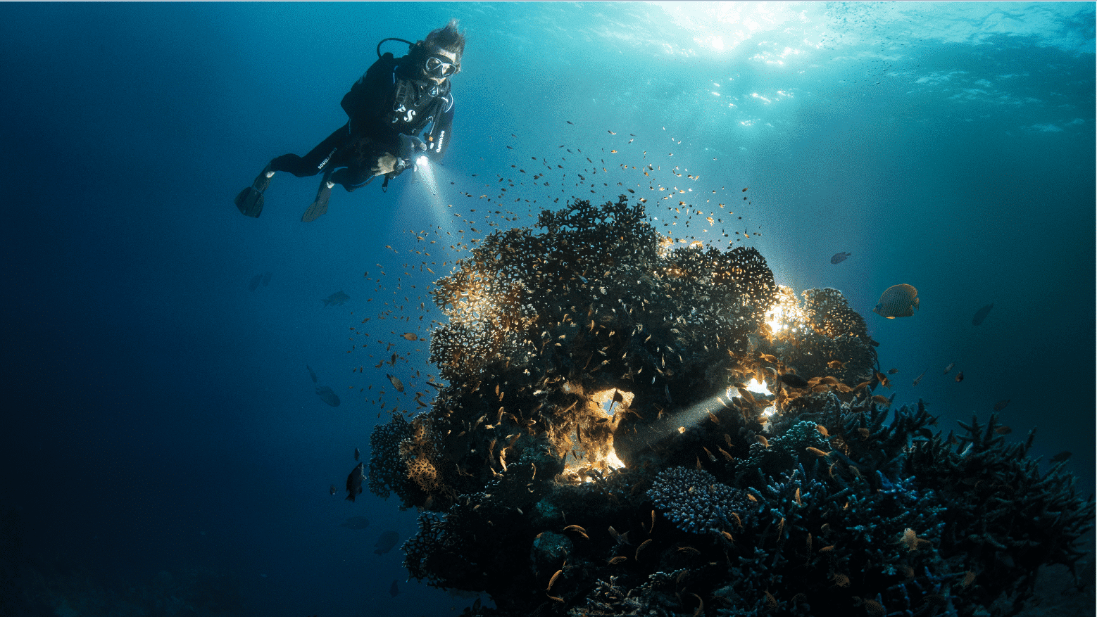 Diver AMAALA 