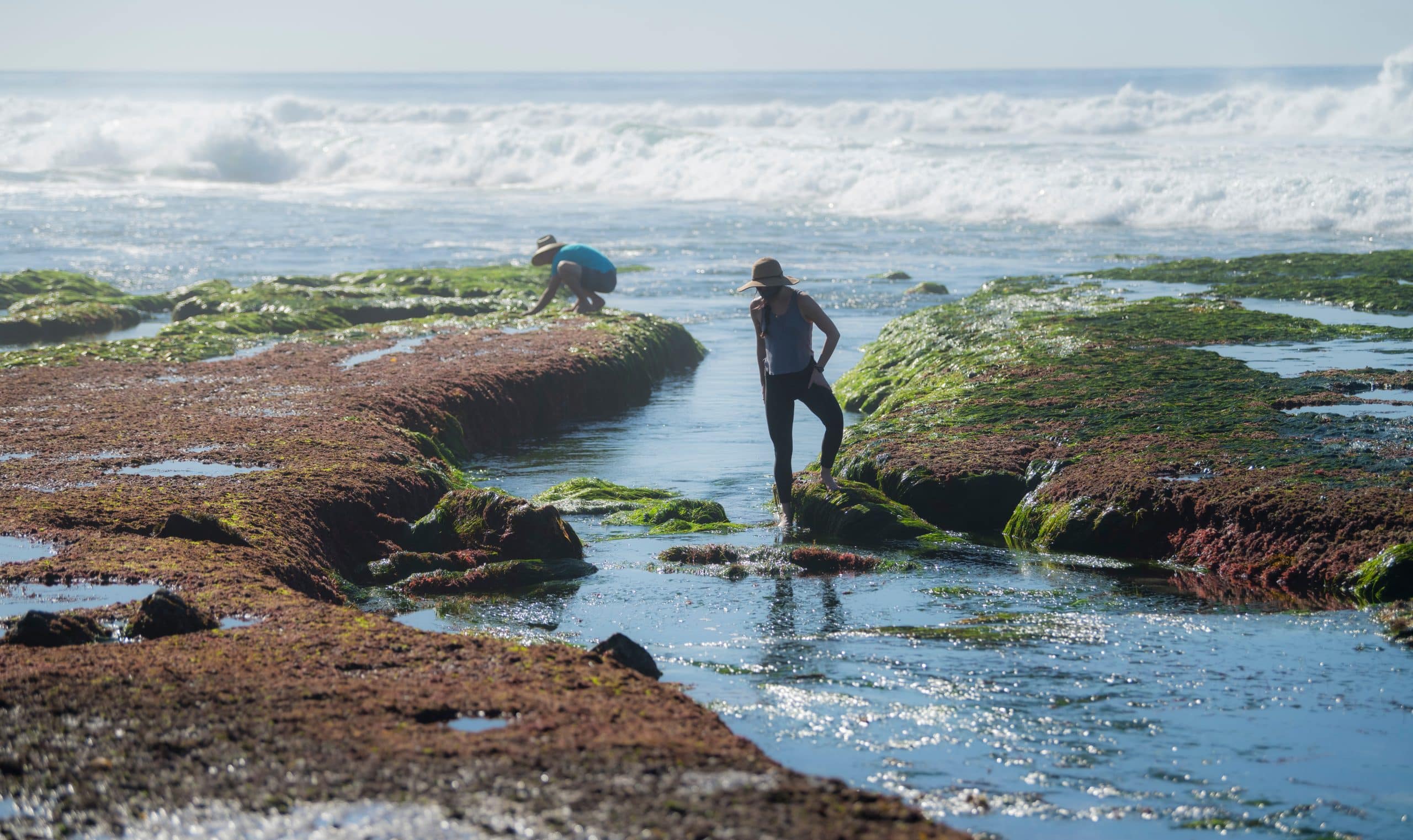 siocomm A MC ErikJepsen SeaweedCollection 2021 17DSC 6211