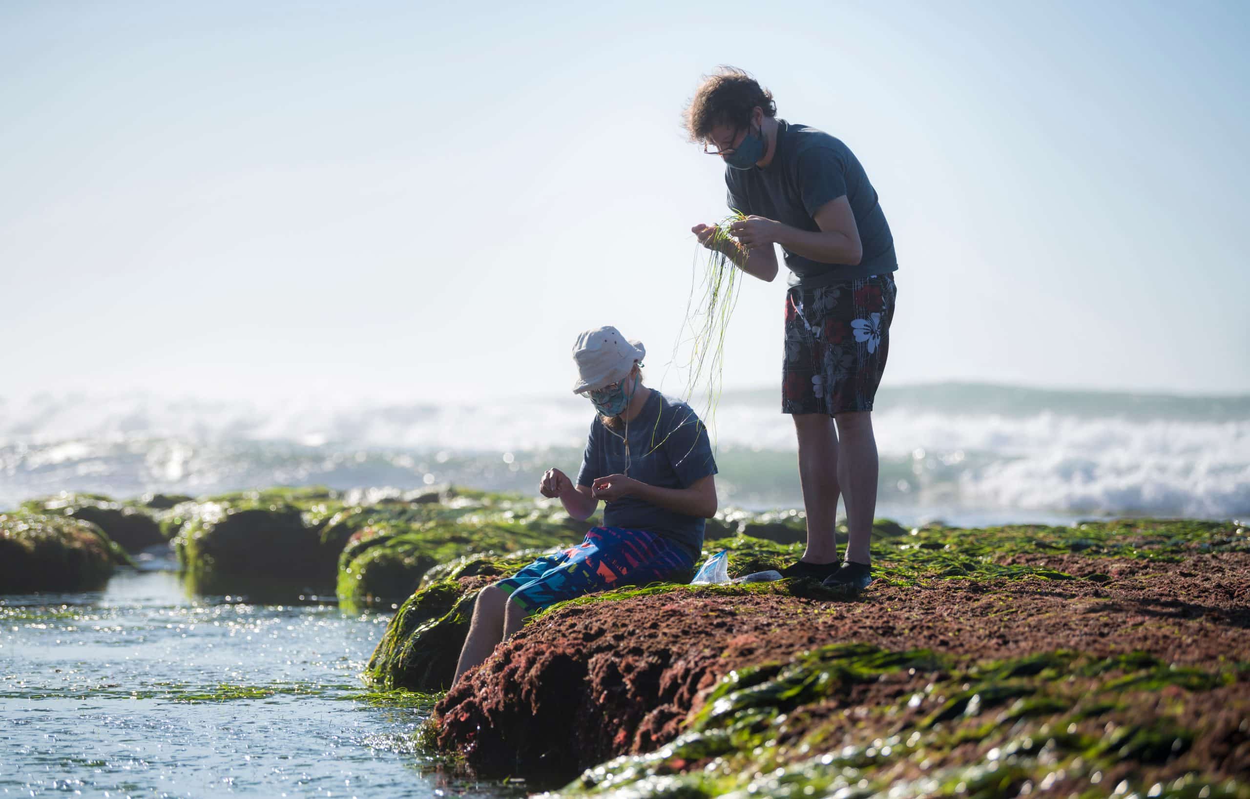 siocomm A MC ErikJepsen SeaweedCollection 2021 19DSC 6275