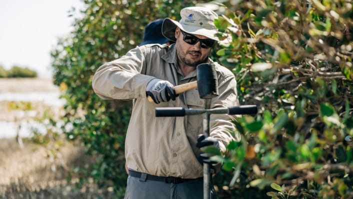 Dr Chris Fulton hammers in an auger to collect a core sample at Mangrove Bay, near Exmouth