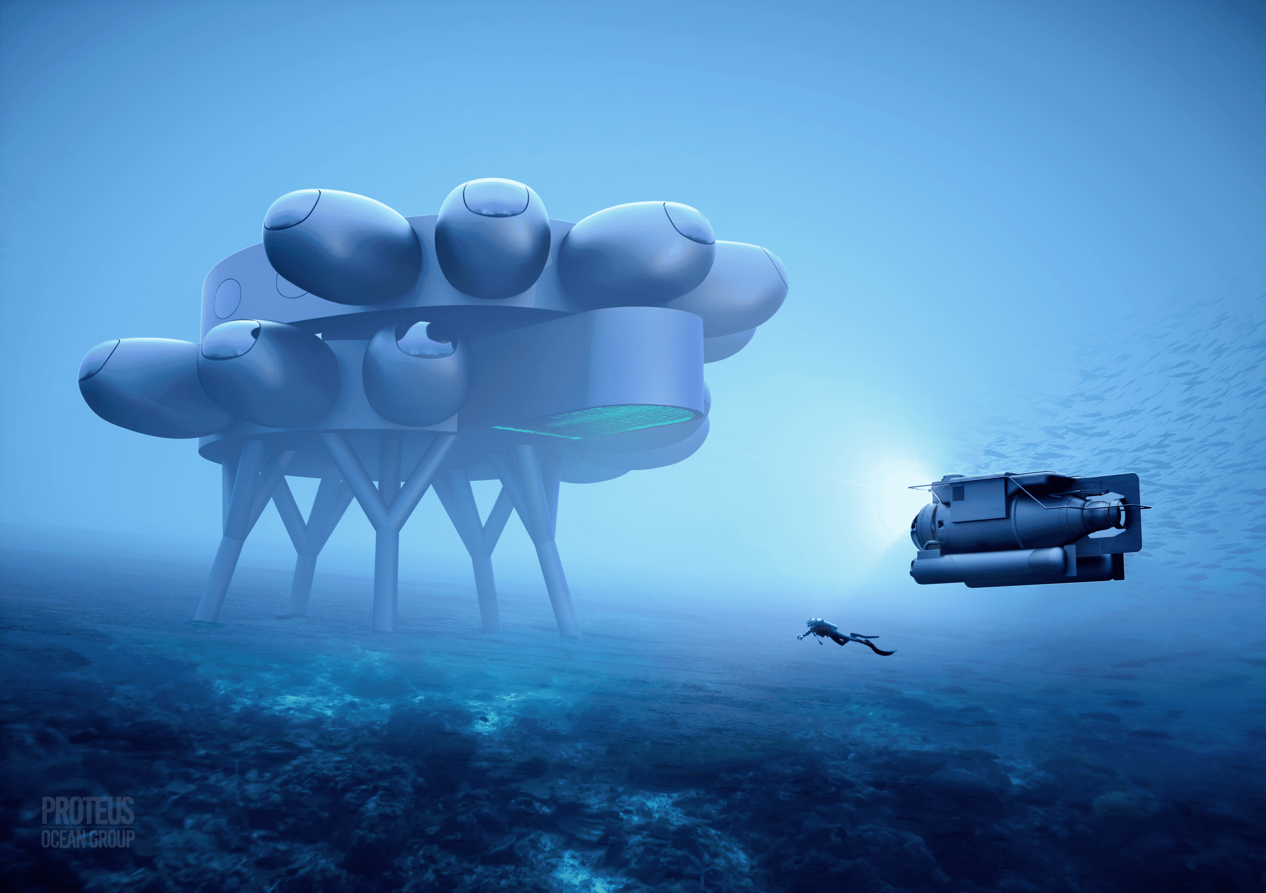 Proteus Full View POG