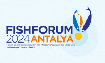 image1 medium 1 Fish Forum PR