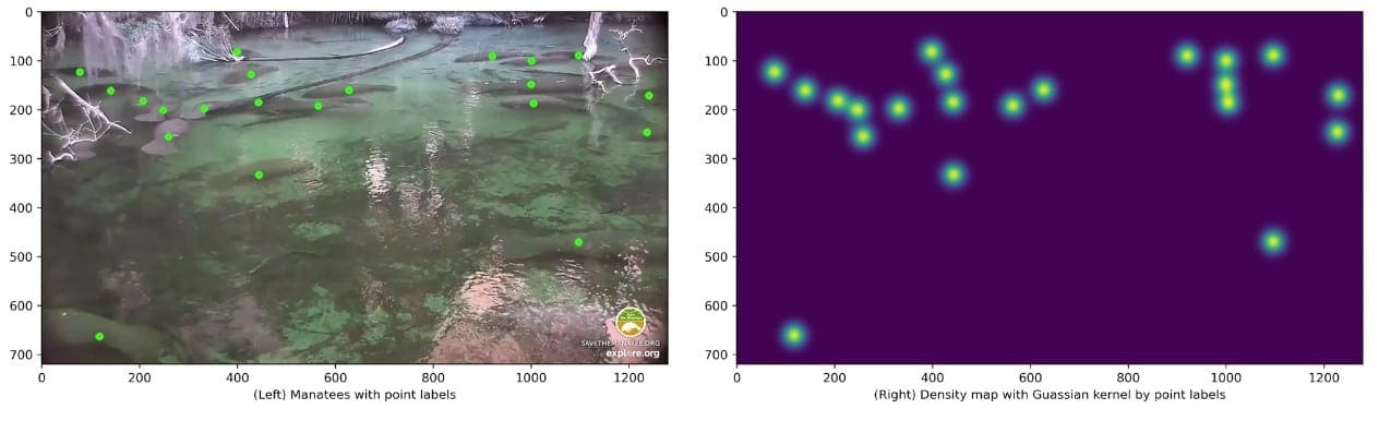 Image2 manatee dots