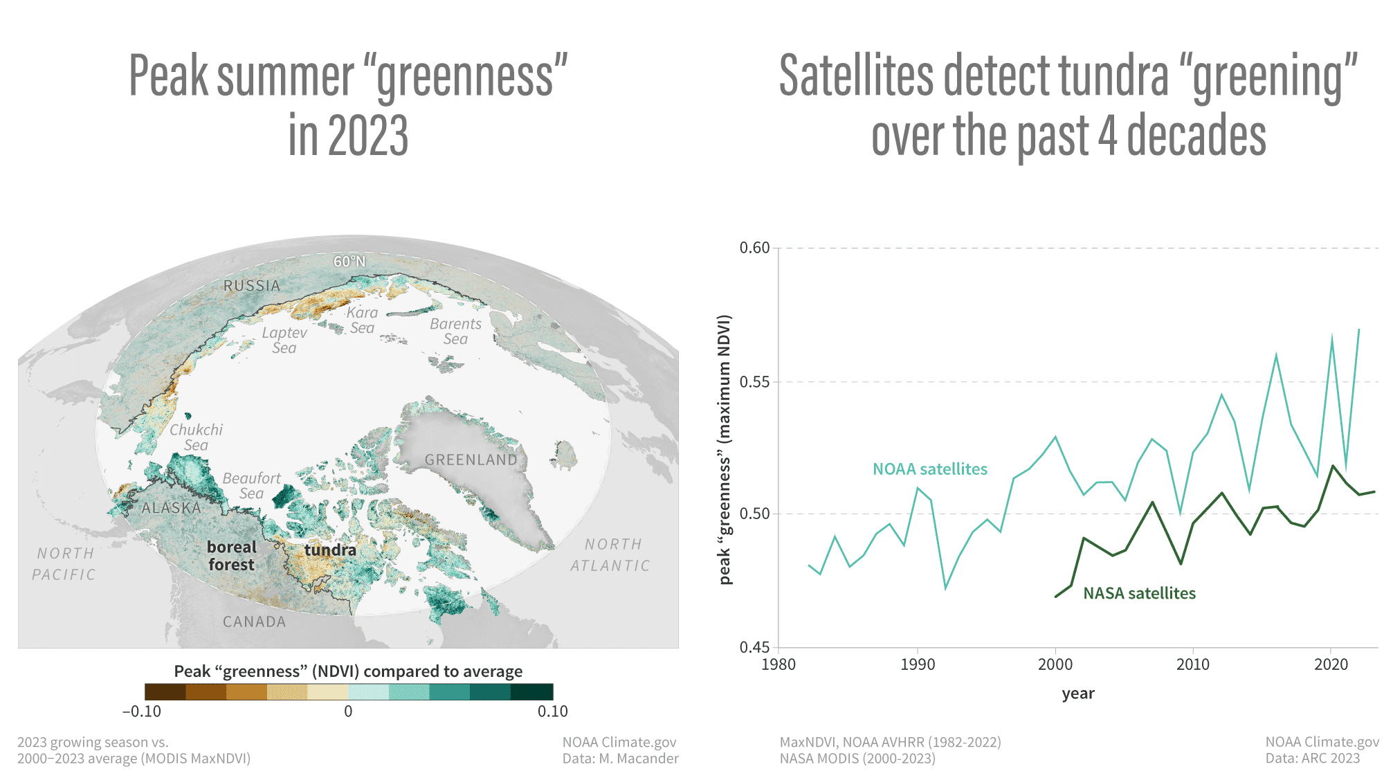 Image4 ARC2023 greening of the tundra map graph