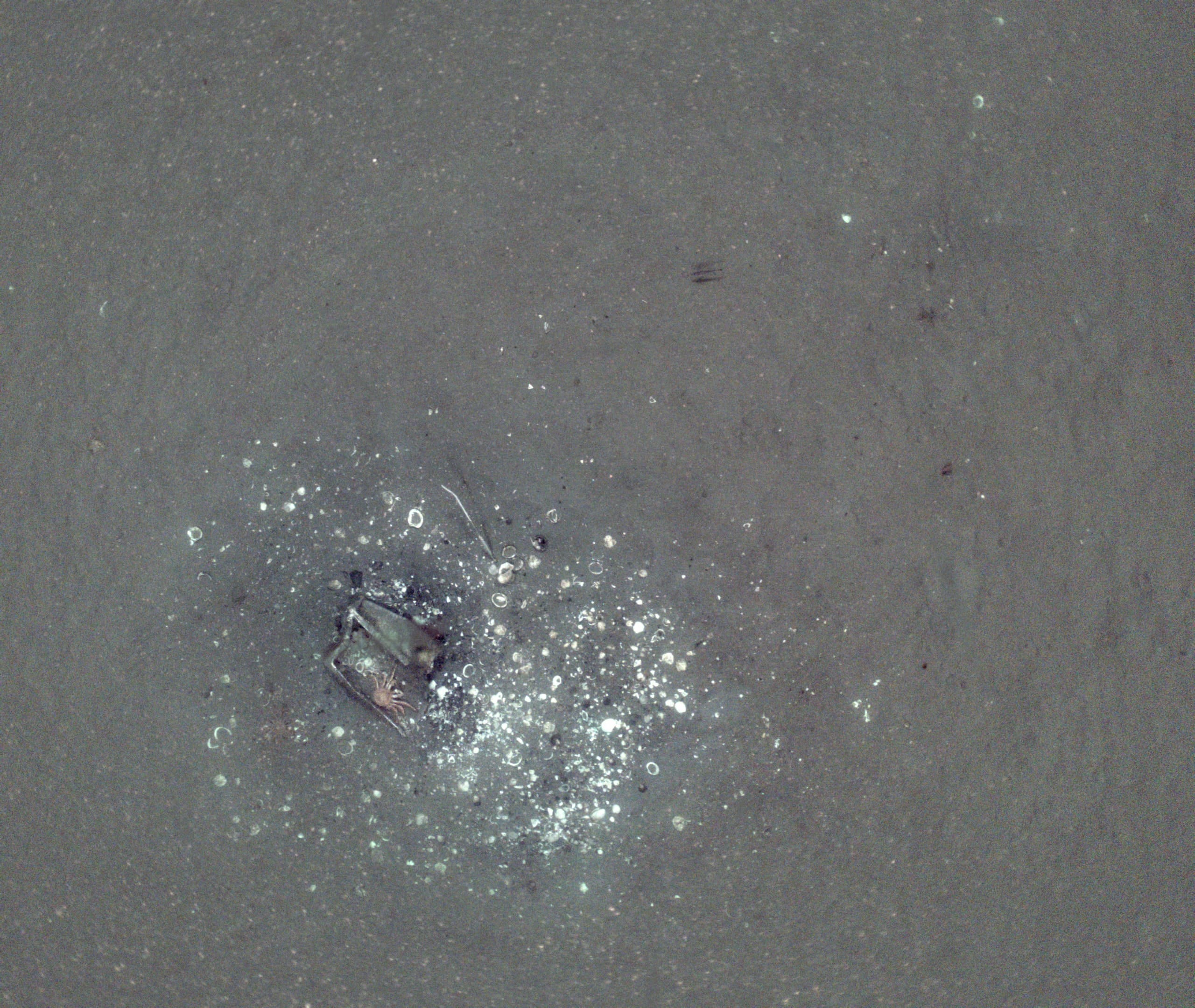 MPA survey image 2