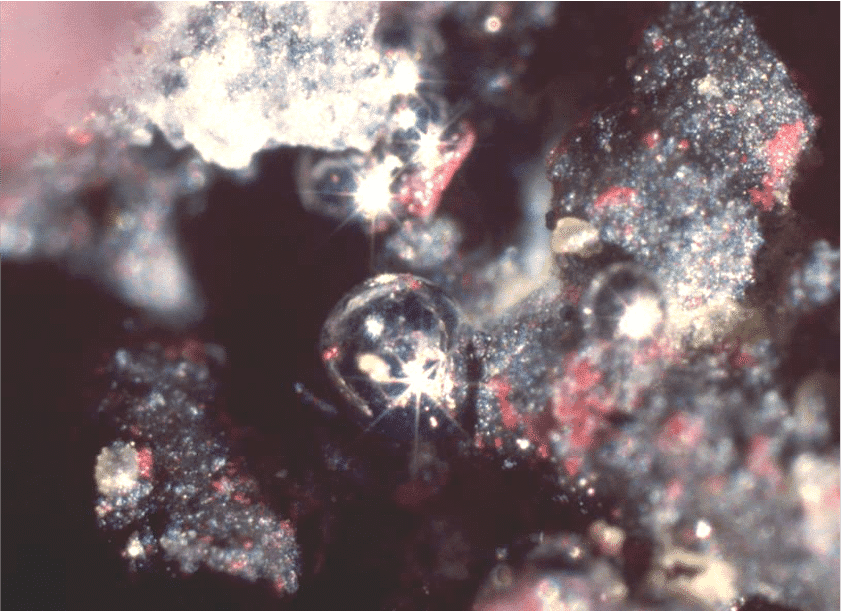 image4 Mercury Calypso ventfield c R.Kelly Geological Survey of Canada