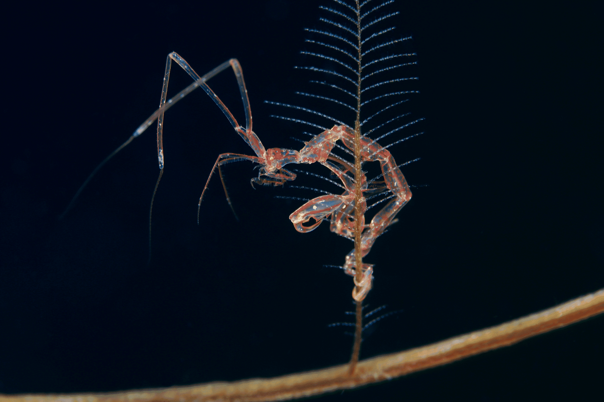 image4 website 2