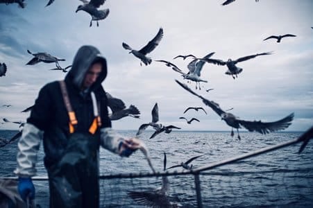 Image2 Fisherman and birds jacek dylag Unsplash CC0 web