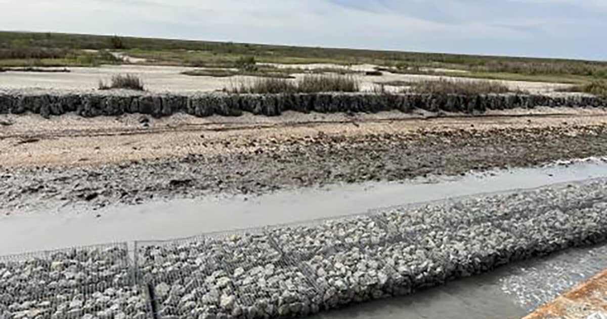 Shoreline Structure Protects Rabbit Island’s Bird Habitat and Creates ...