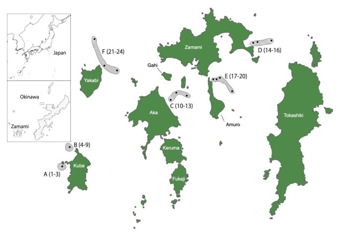 image2 Map showing the seawater sampling sites around Zamami Island 20240213 V2