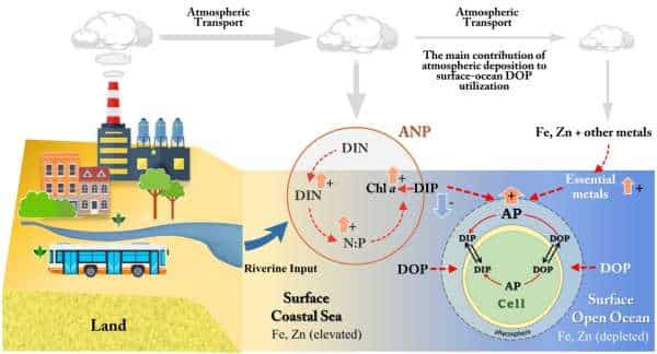 image2 anthropogenic nitrogen pump