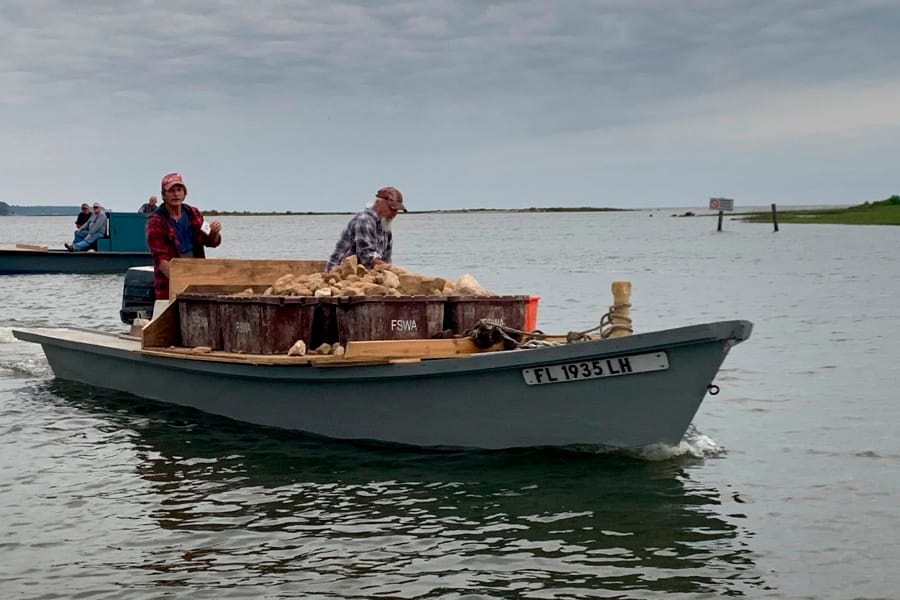 Local oyster harvesters help deploy limestone rock, a restoration material, for the Apalachicola Bay System Initiative oyster reef restoration experiments. (Courtesy of FSU Coastal and Marine Laboratory)