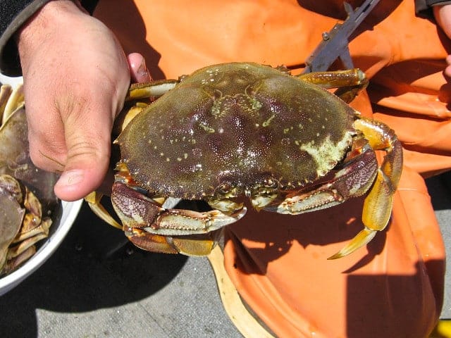 image2 24896422896 c0c987b8e9 z
