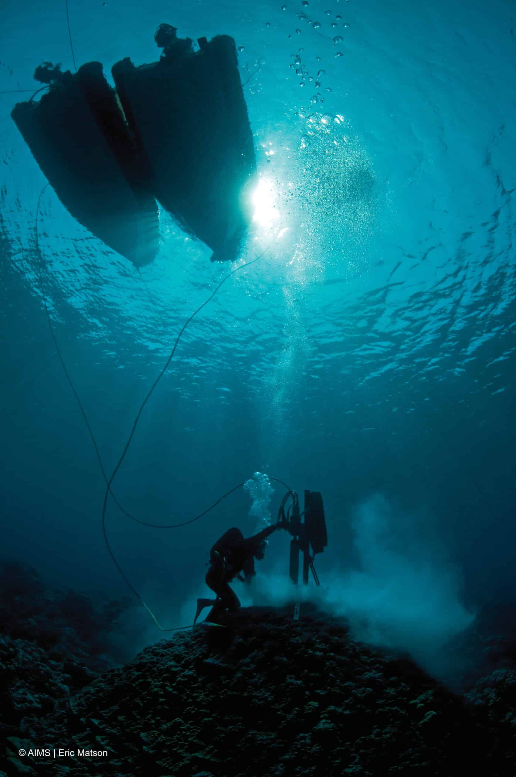 image2 a wetter world recorded in australian coral colony AIMS000003470 scaled