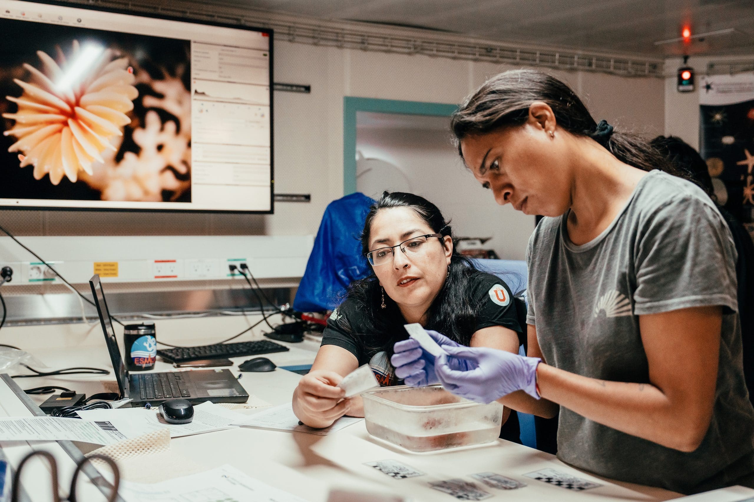 María de los Angeles Gallardo, Marine Biologist from ESMOI, UCN, explains berth of opportunity Serafina Moulton the intrincancies of sample processing in the Main Lab aboard RV Falkor (too).