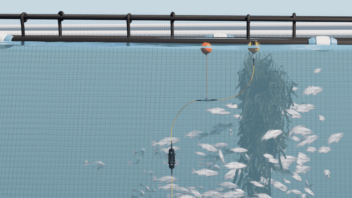 Image1 660dcde723b52747f8f08c54 aquaculture axe2323