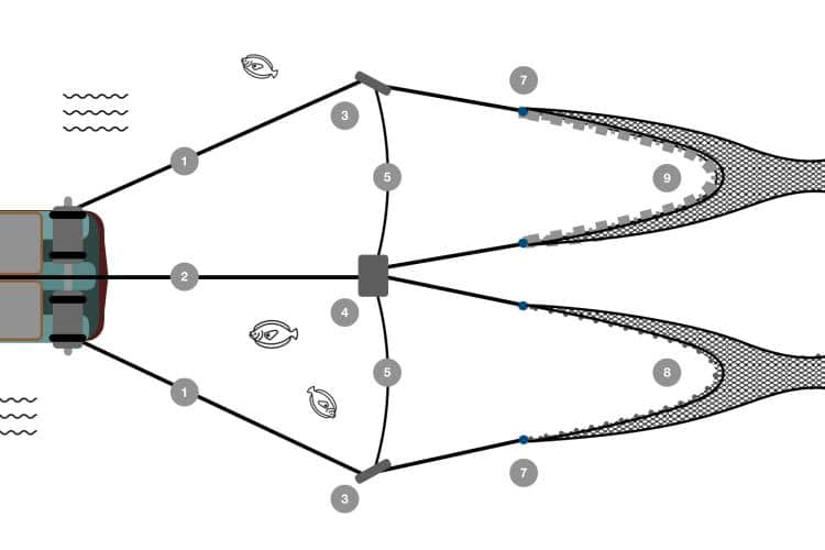 image2 2036x1452TrawlDiagram crop