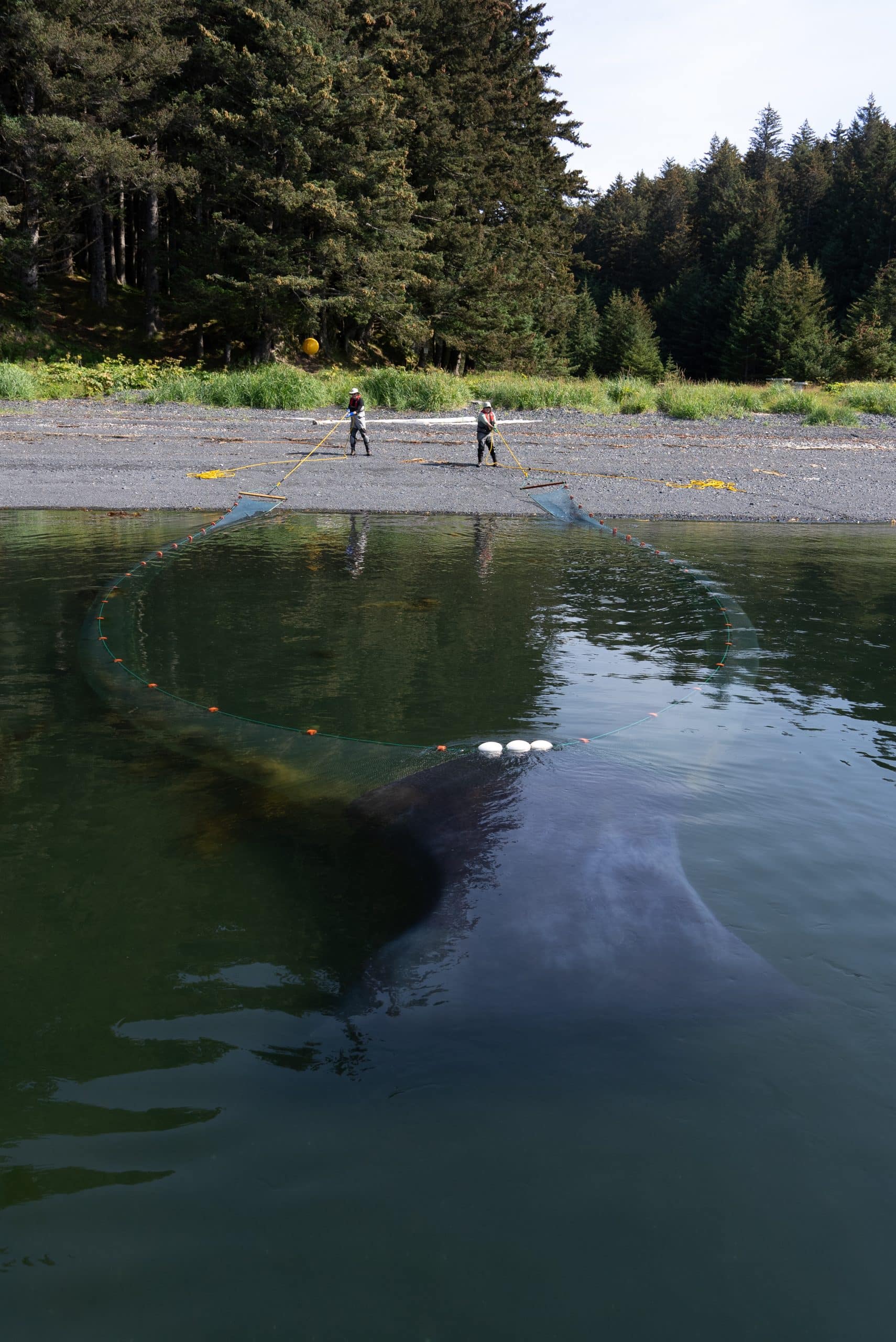 2 beachseinedeploy recover kodiak2023 190 noaa afsc phillman