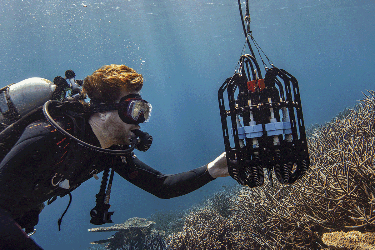 Ascension Minderoo Web Ready Giacomo d Orlando OceanOmics Abrolhos Islands 11