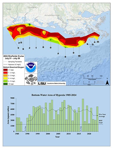 Image2 IMAGE gulfofmexico hypoxia graphic 2024